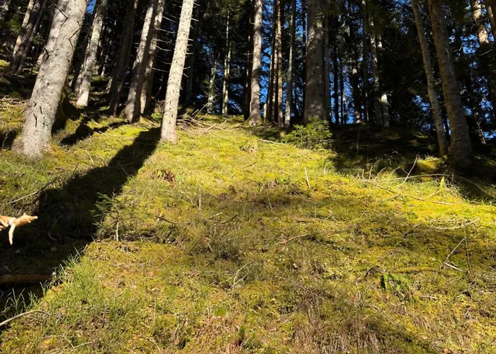 Apartament Mayrhofer *